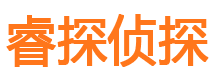 乐都市侦探公司